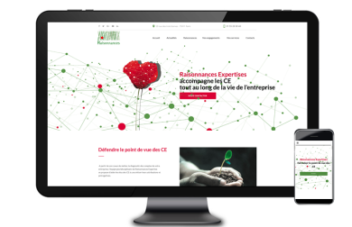 Raisonnances Expertise